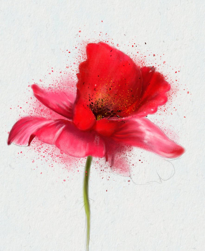 Фотообои рисунок мак