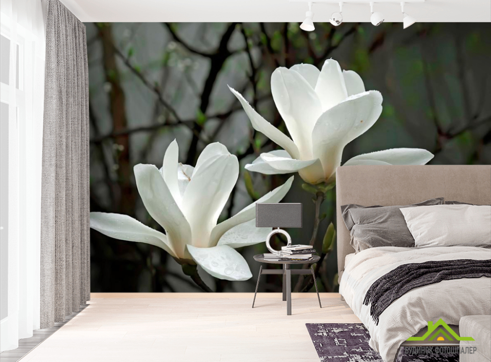 выбрать Фотообои Белоснежные цветки Фотообои Цветы на стену