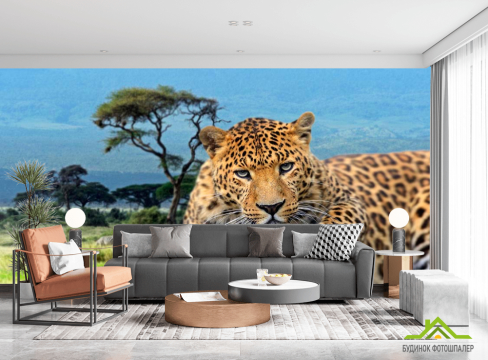 выбрать Фотообои Гепард перед прыжком Фотообои Гепарды на стену