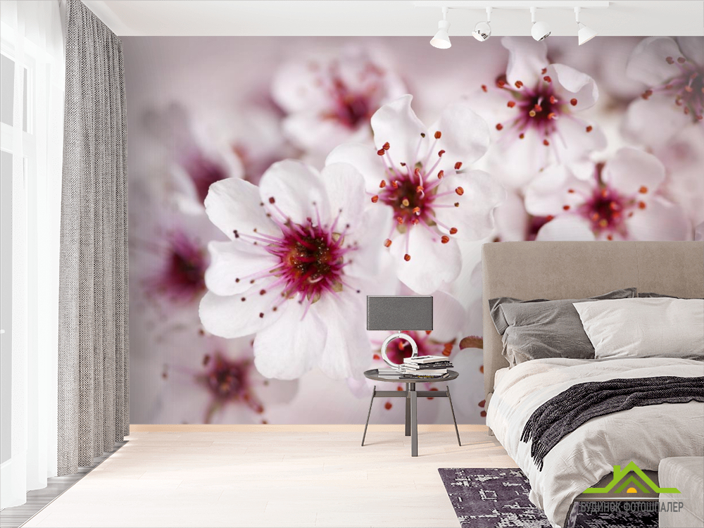 Фотошпалери цвіт вишні