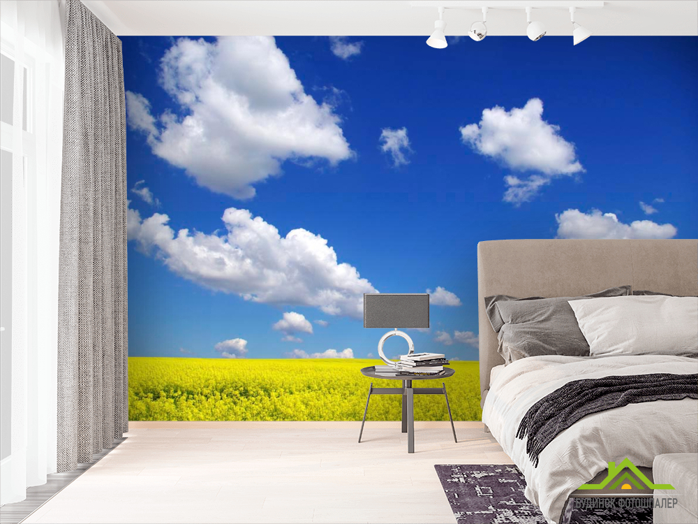 Фотообои Цвет и небо