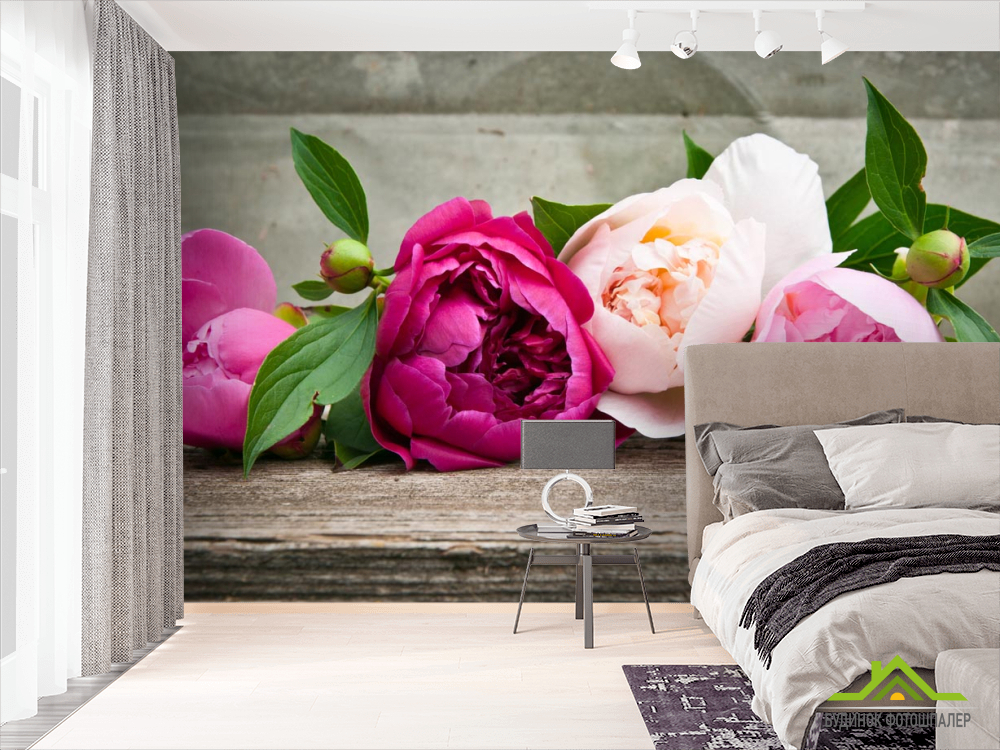 Фотошпалери рожеві півонії
