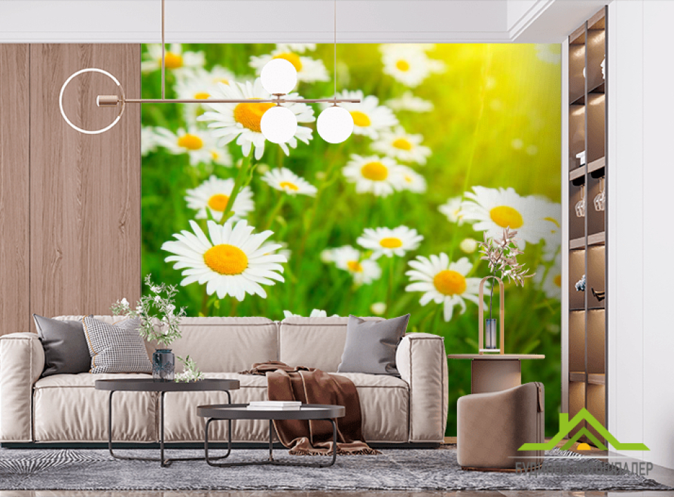 выбрать Фотообои Степные ромашки Фотообои Ромашки на стену