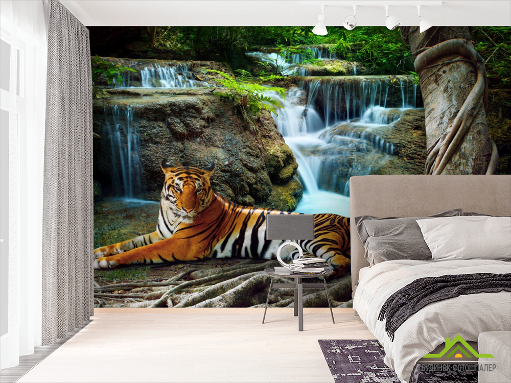Фотошпалери тигр біля водоспаду