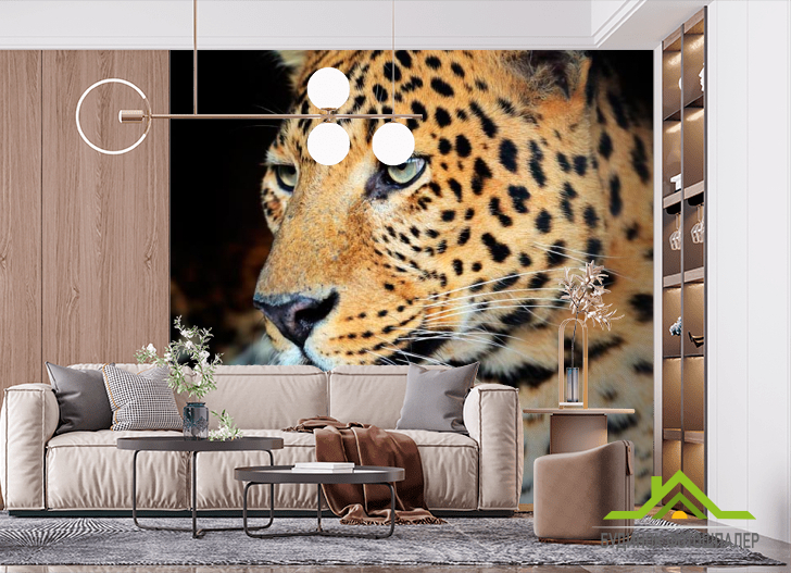 Фотошпалери Лінивий гепард