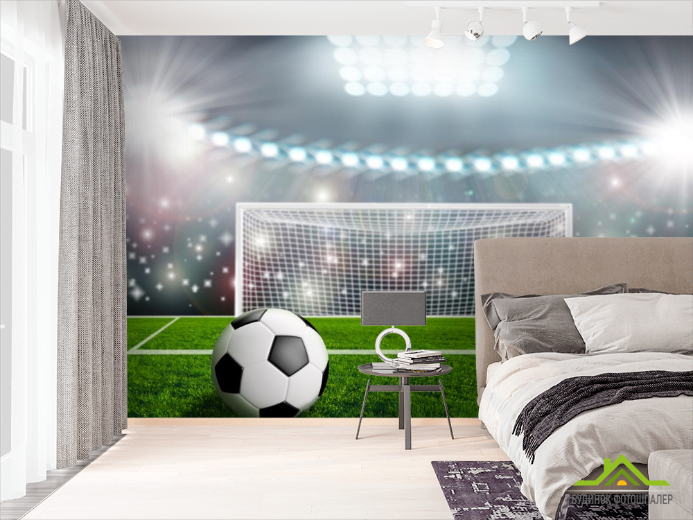 Фотообои мяч и ворота