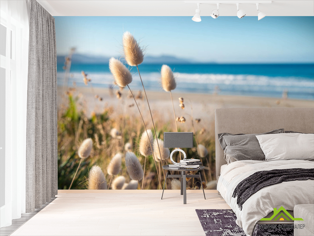 Фотошпалери сухоцвіти біля моря