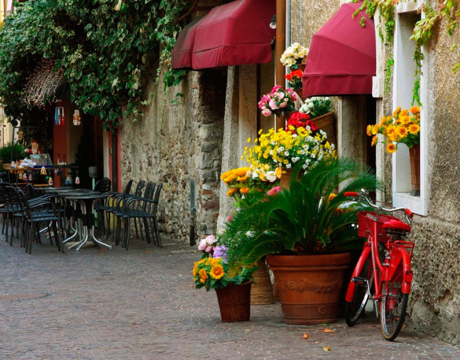 Фотообои Кафе на улочке с цветами
