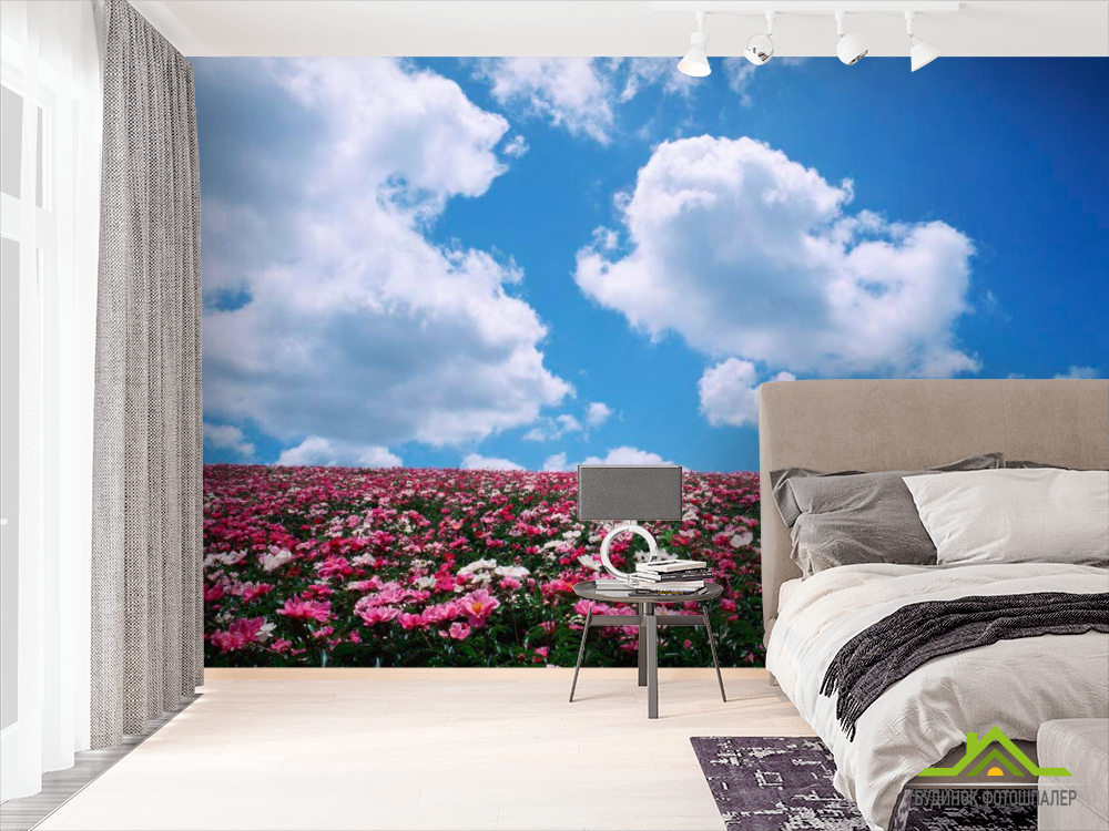 Фотообои Цветы, небо, тучи