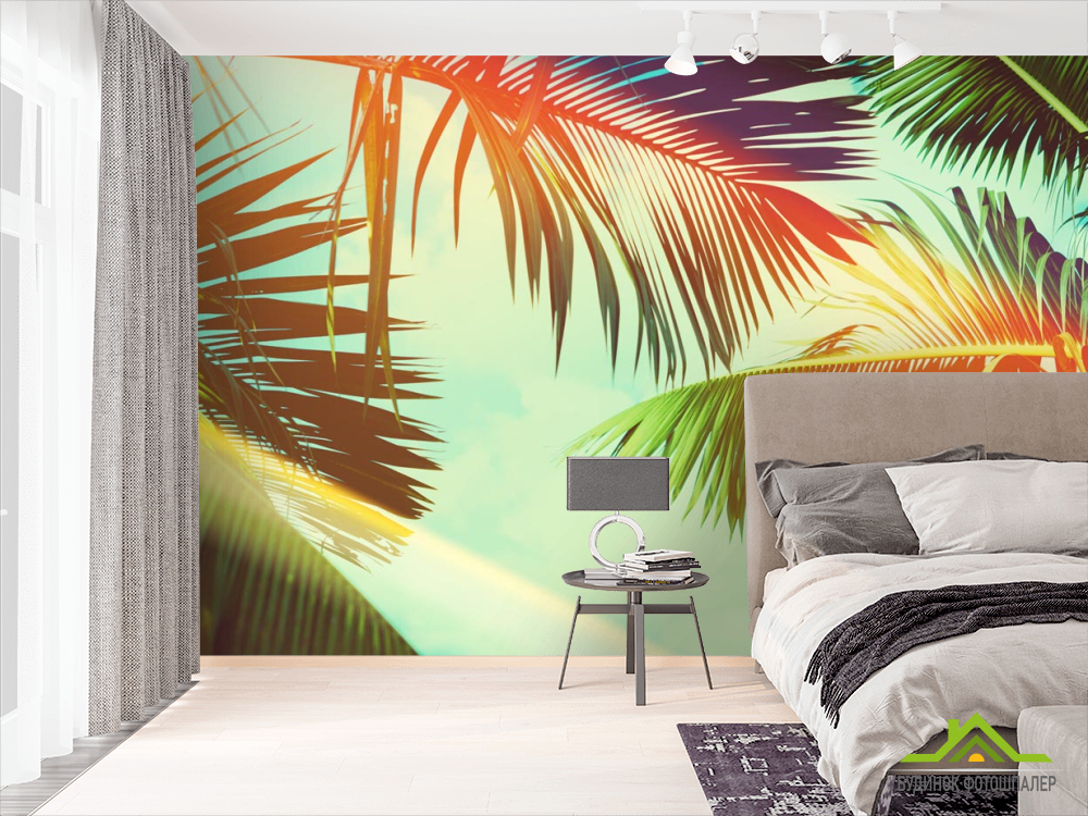 Фотошпалери пальмове листя