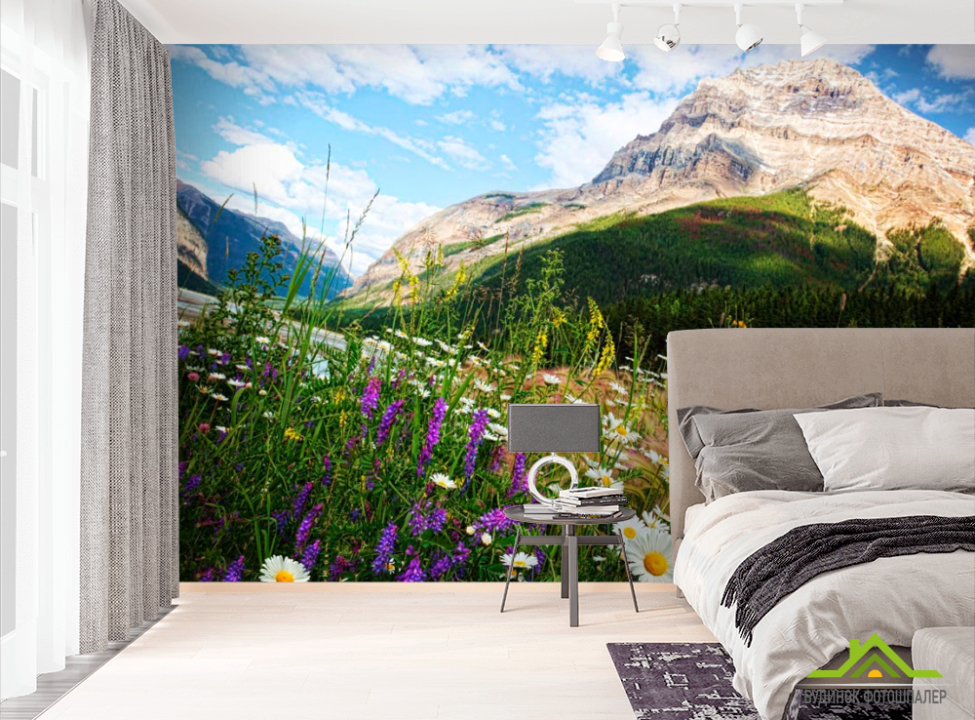 выбрать Фотошпалери Гора, небо, ромашки Фотошпалери Гори на стіну
