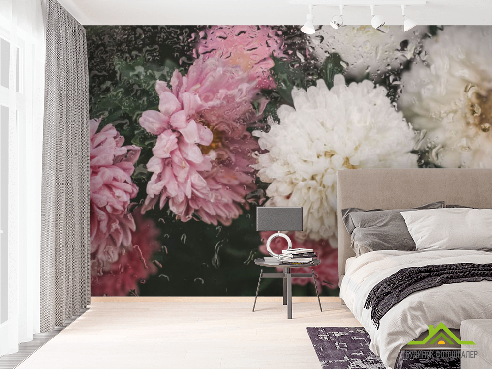 Фотошпалери Хризантеми з краплями дощу