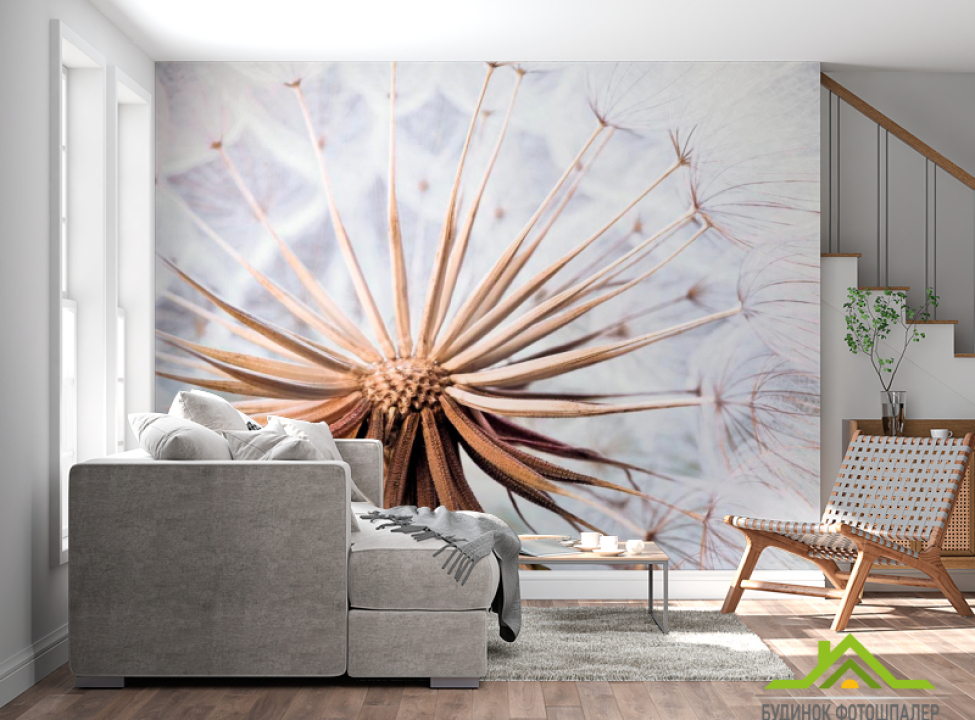 выбрать Фотообои Одуванчик Фотообои Одуванчики на стену