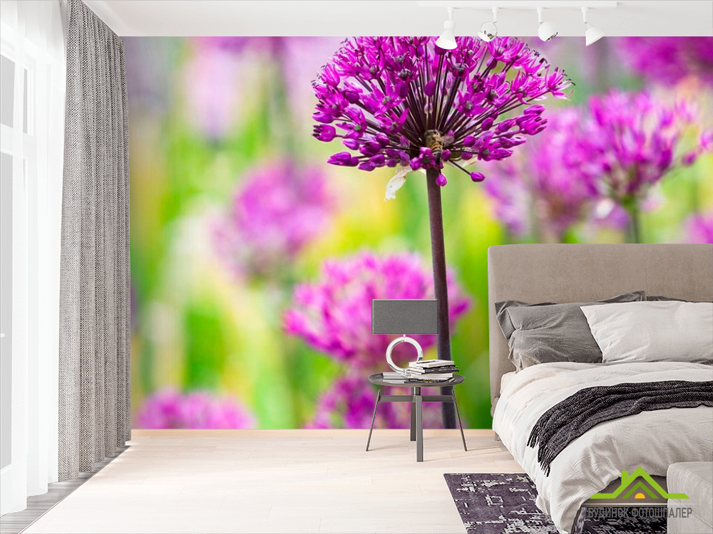 Фотообои Фиолетовые полевые цветы