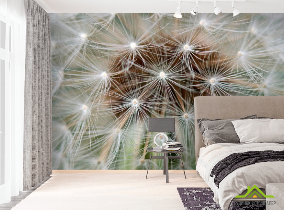 выбрать Фотообои Одуванчик Фотообои Одуванчики на стену