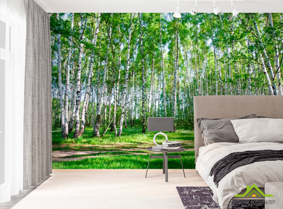 выбрать Фотообои Молодые березы, тропа Фотообои лес на стену