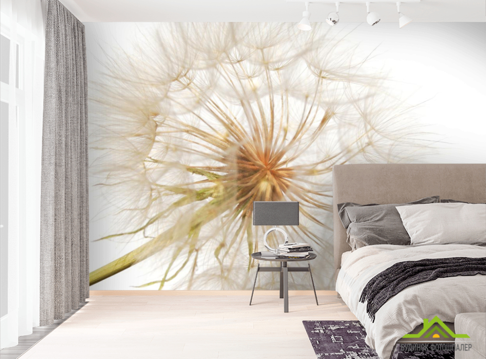 выбрать Фотообои одуванчик на бело фоне Фотообои Одуванчики на стену