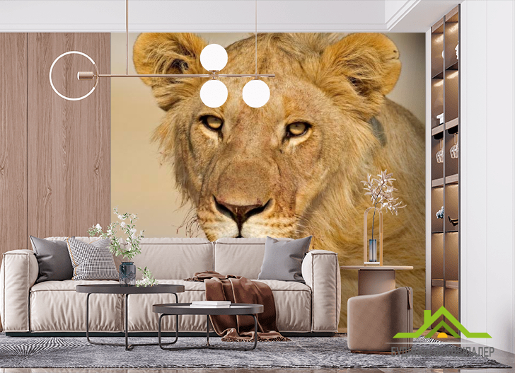 Фотошпалери Мріє левиця