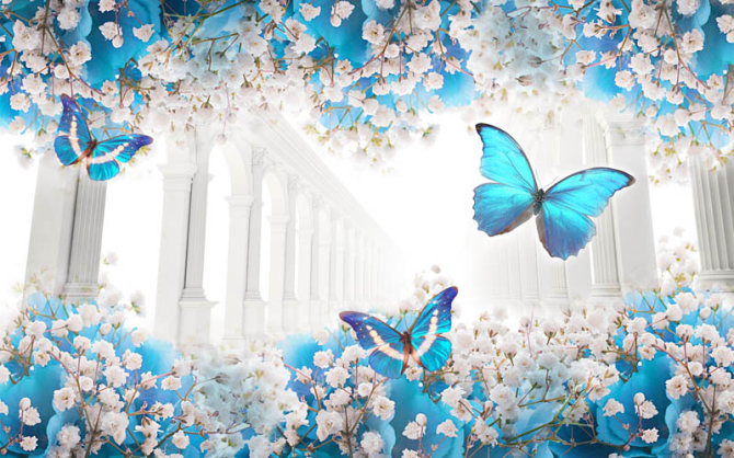 Фотошпалери метелики