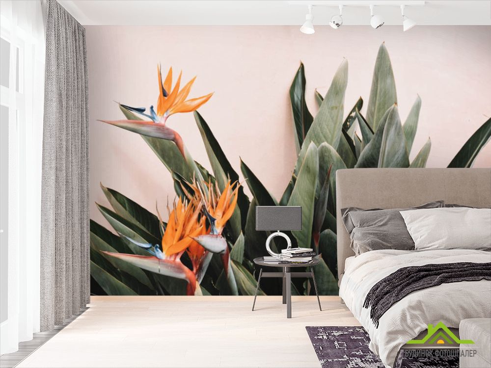 Фотошпалери Стреліція Тропічна