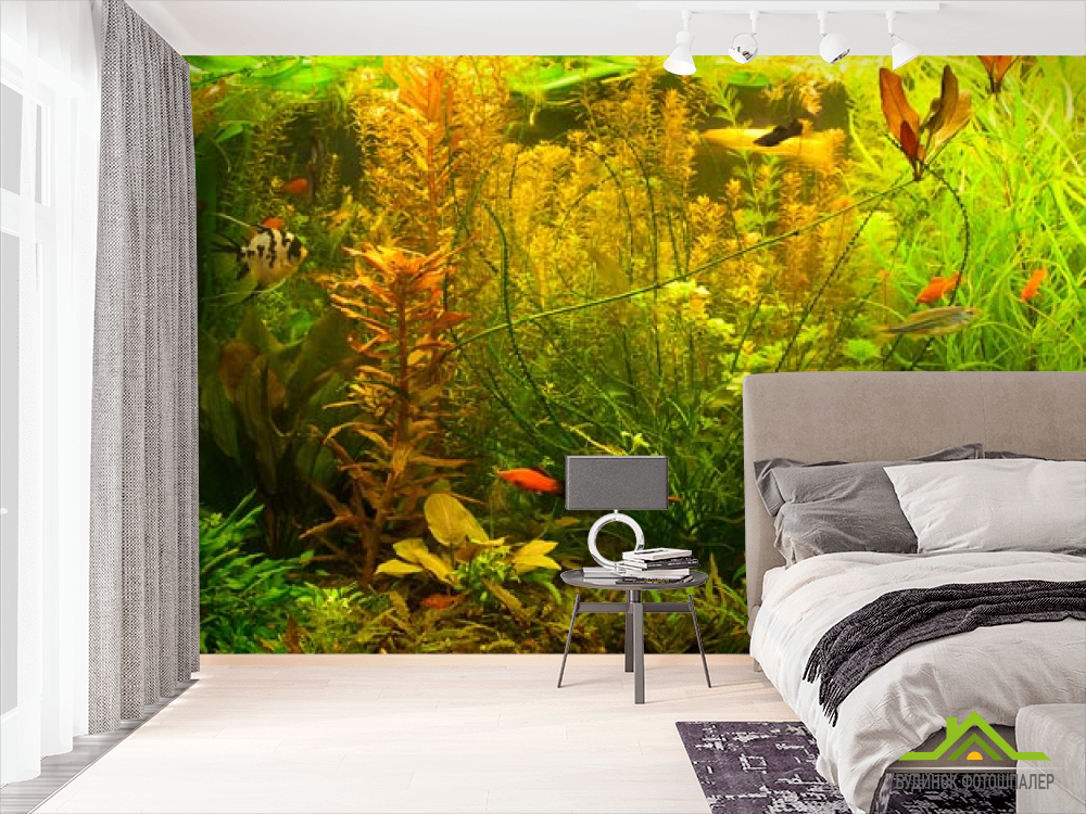 Фотошпалери акваріум