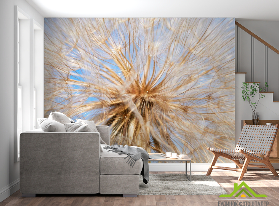 выбрать Фотообои Одуванчик Фотообои Одуванчики на стену