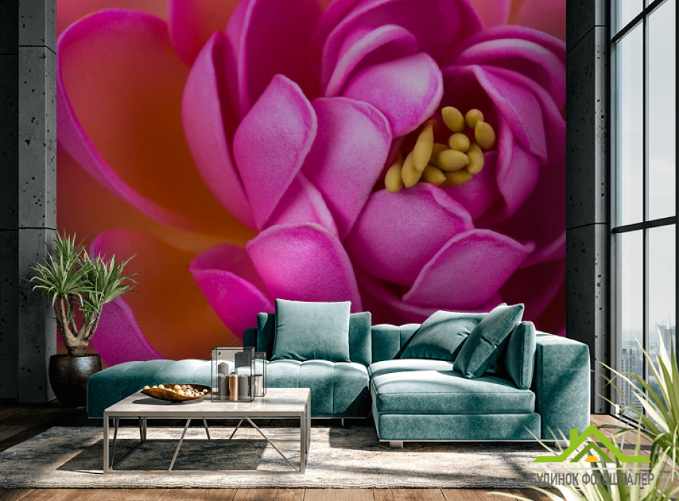 выбрать Фотообои Малиновый пион Фотообои Пионы на стену