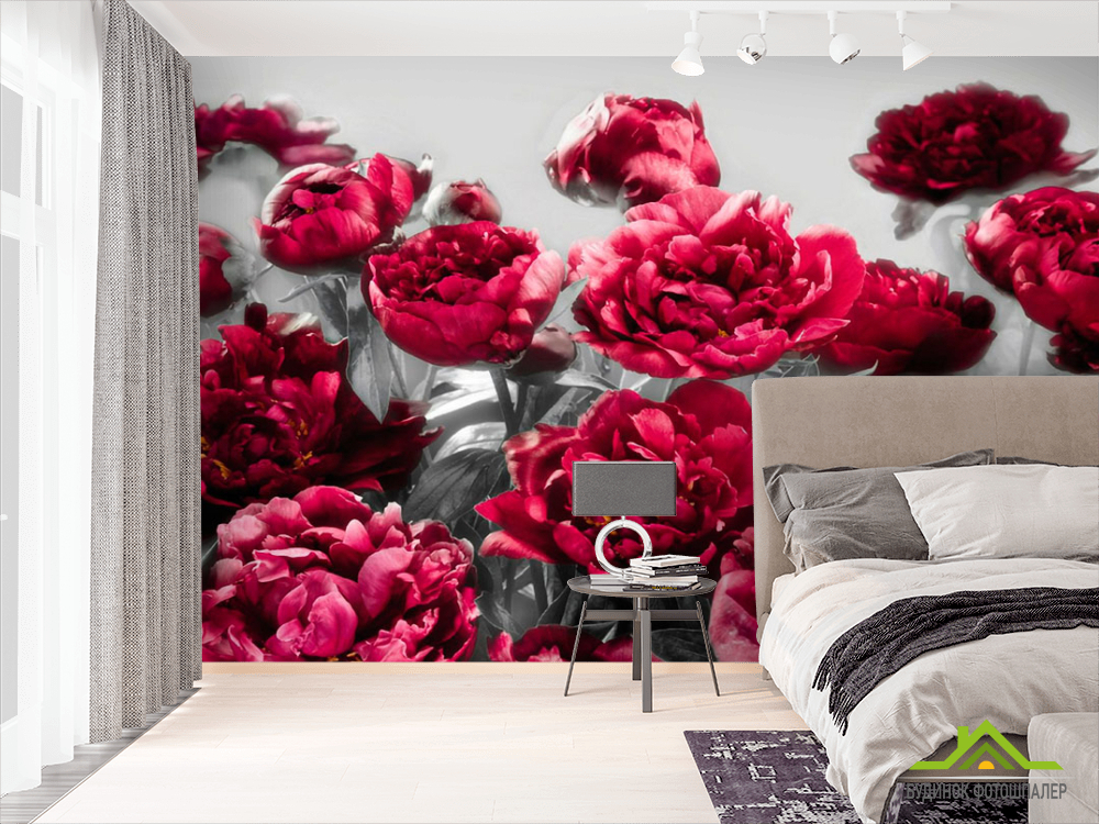 Фотообои Бордовые пионы