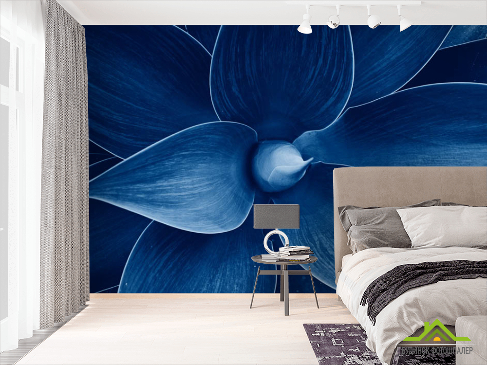 Фотошпалери синій квітка