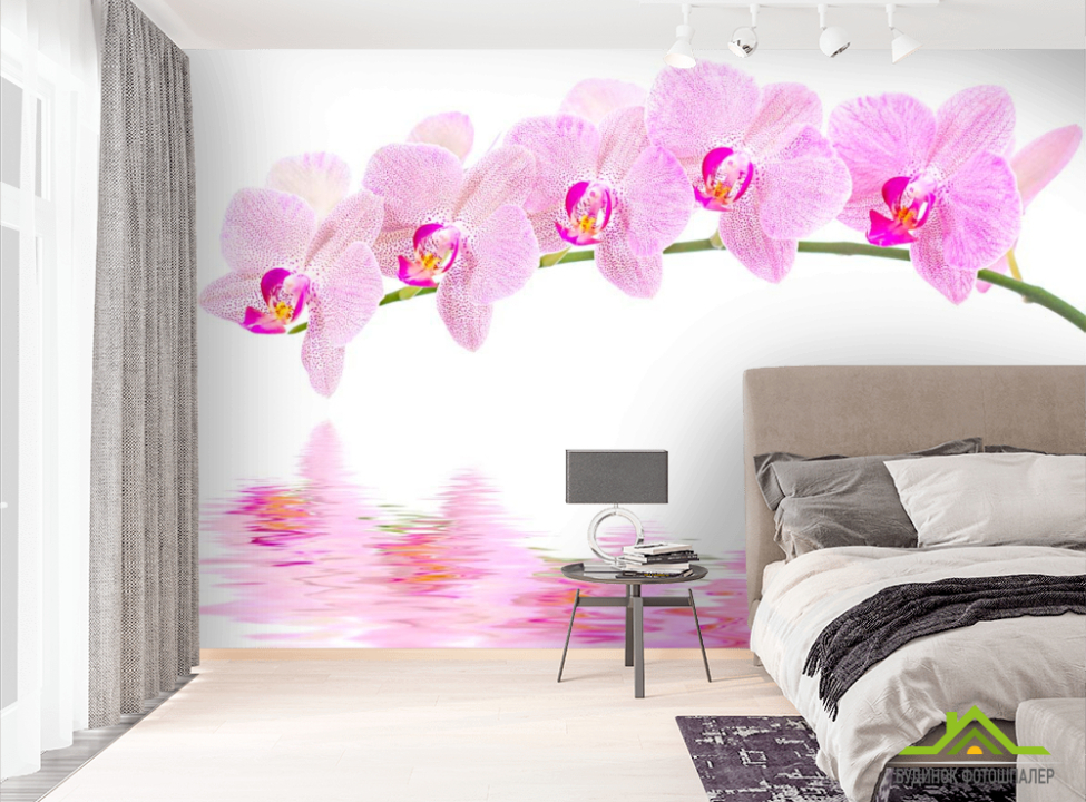 выбрать Фотообои Отражение орхидей Фотообои Орхидеи на стену
