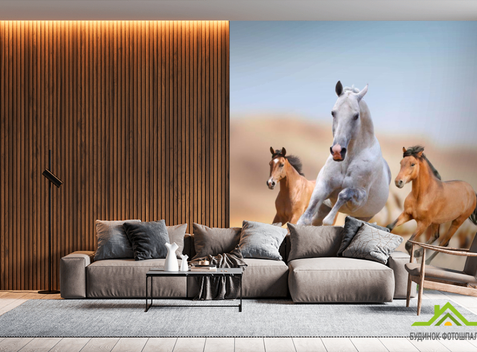 выбрать Фотообои Игры лошадей Фотообои Лошади на стену