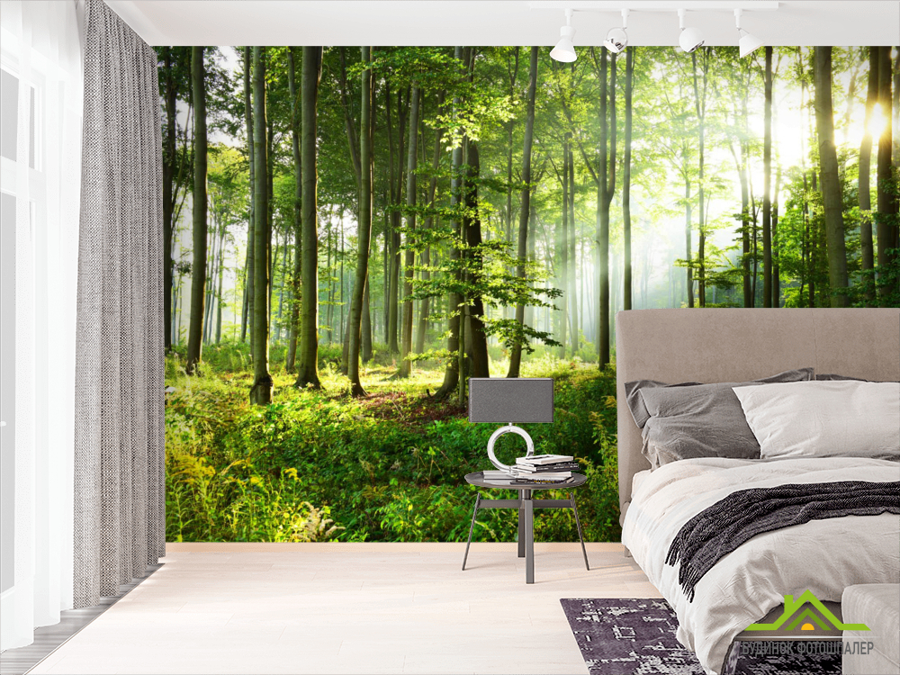 Фотошпалери зелені дерева