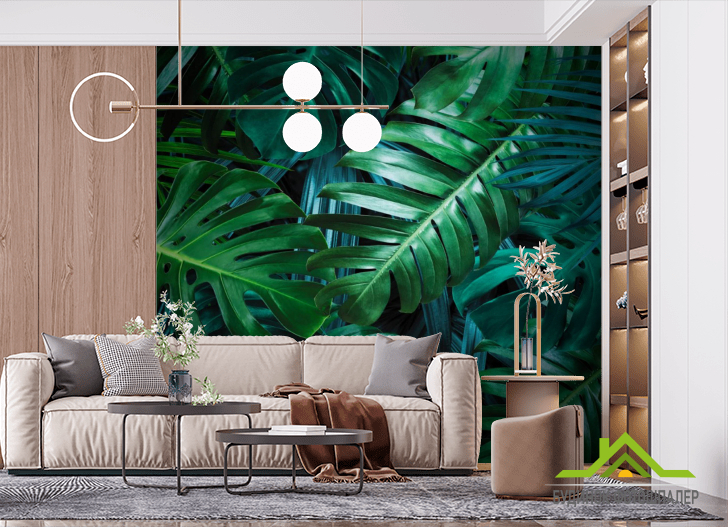 Фотошпалери листя монстери