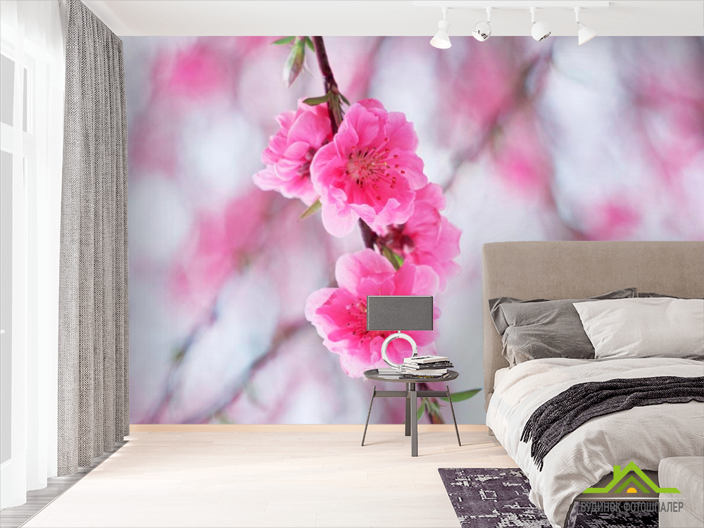 Фотообои Цветущее весной розовым дерево