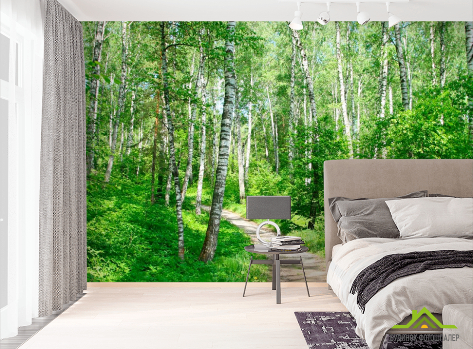 выбрать Фотообои Лес, березки Фотообои лес на стену
