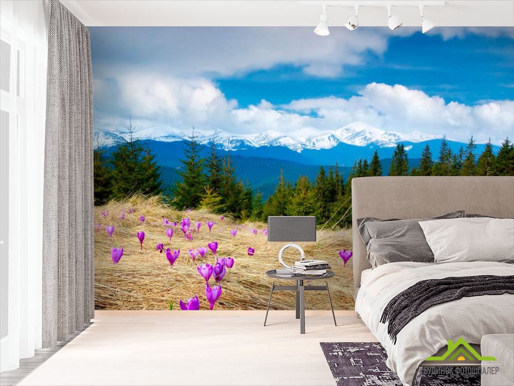 Фотошпалери Первоцвіт весняний, ялинки