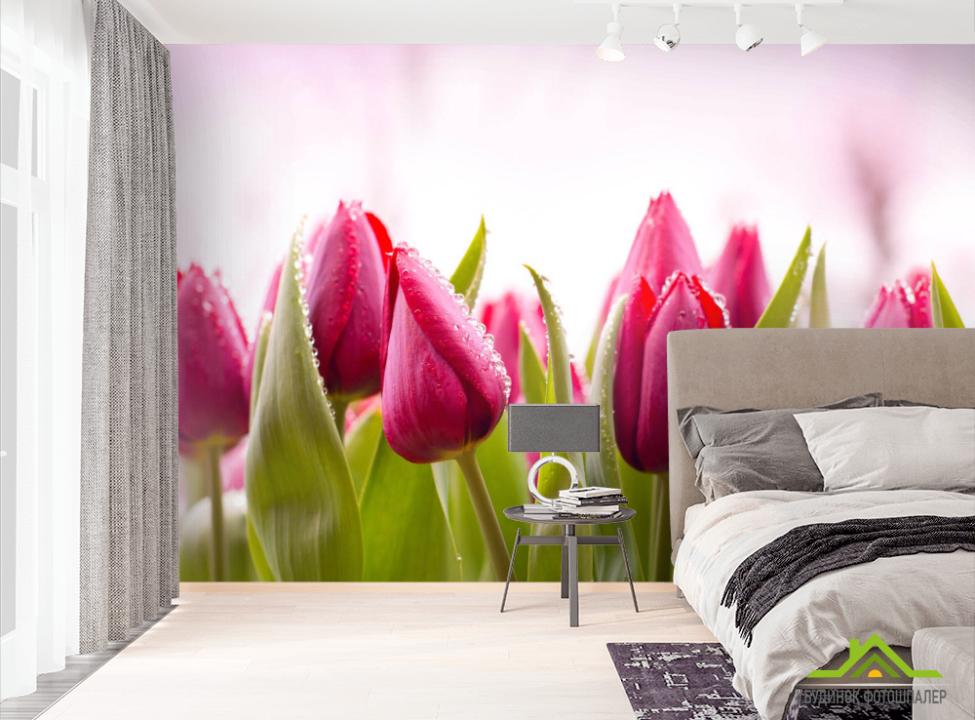 выбрать Фотошпалери Рожеві тюльпани Фотошпалери Квіти на стіну