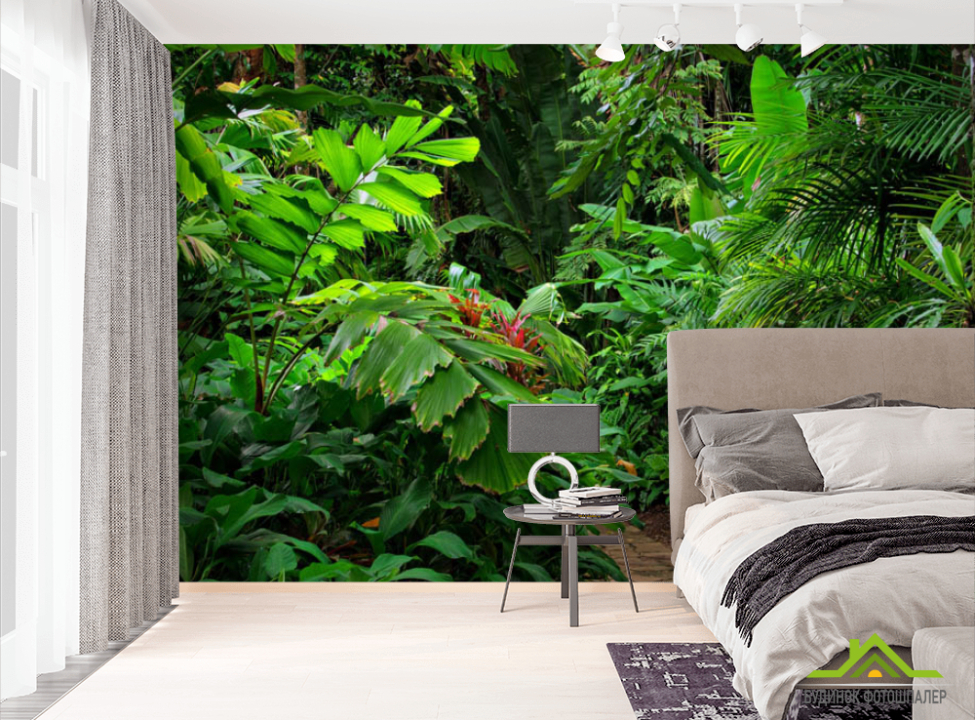 выбрать Фотошпалери тропіки Фотошпалери різні на стіну