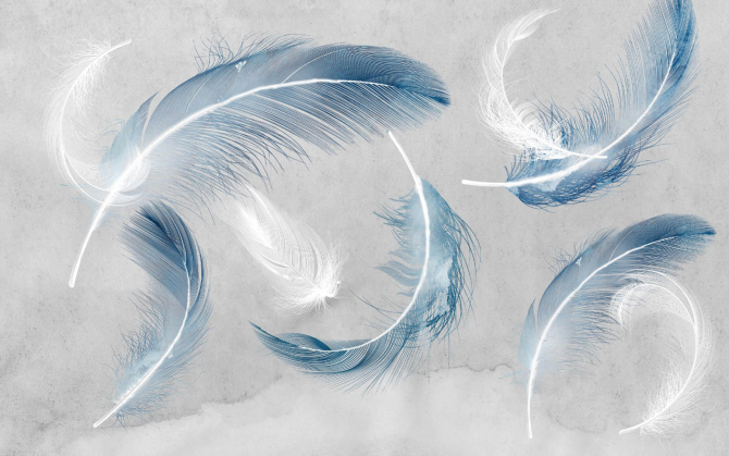 Фотошпалери Пір'я сині