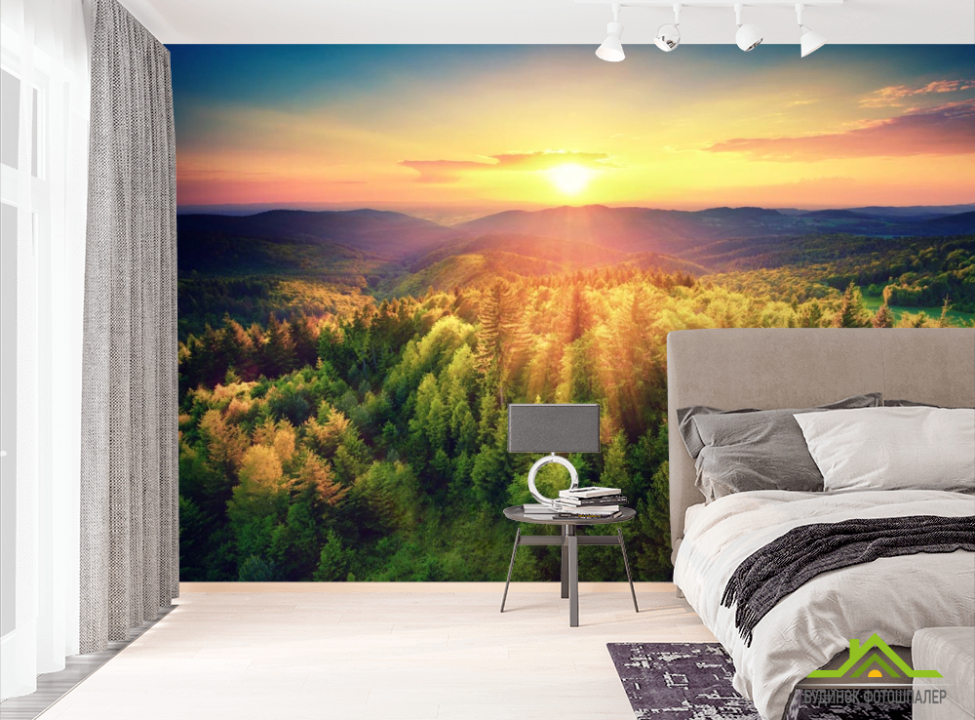 выбрать Фотошпалери захід сонця над сосновим лісом Фотошпалери Природа на стіну