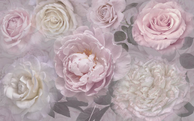 Фотошпалери дизайнерські півонії