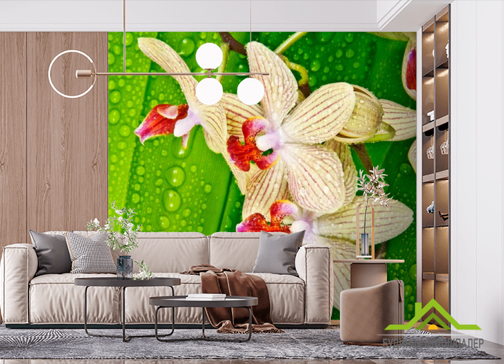 Фотообои Орхидеи на листе