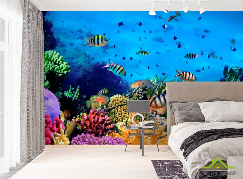 выбрать Фотошпалери Підводний світ. Краси. Фотошпалери Риби і море на стіну