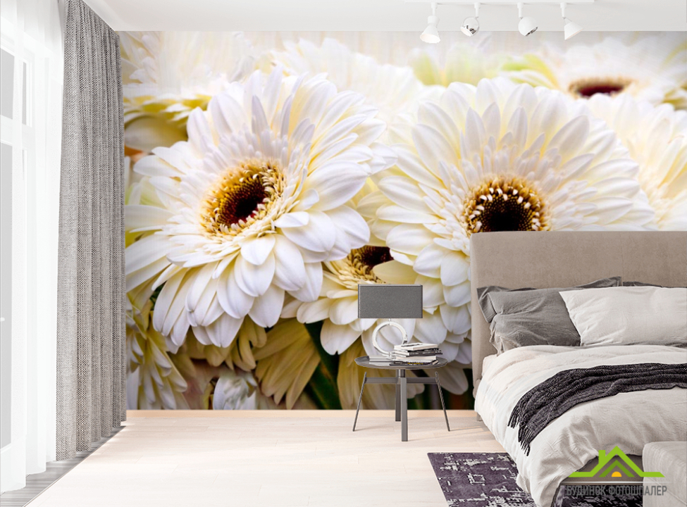 выбрать Фотошпалери кремова гербера Фотошпалери Квіти на стіну
