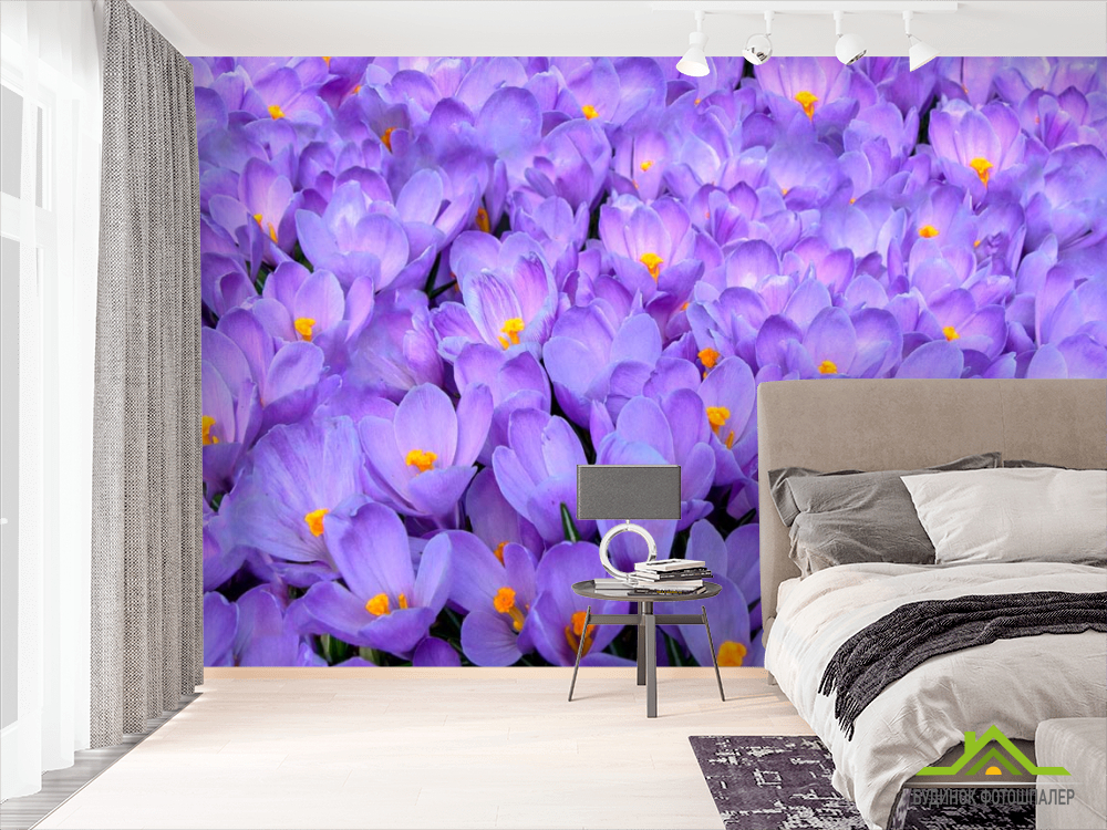 Фотообои Нежно-сиреневые подснежники
