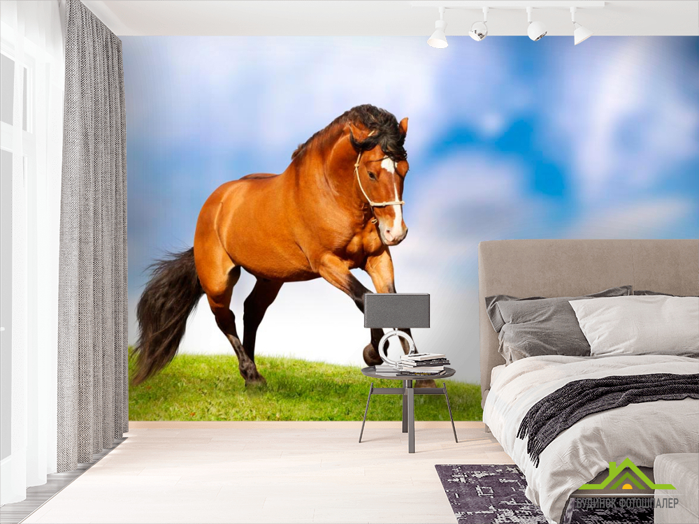 Фотообои Гарцующий конь