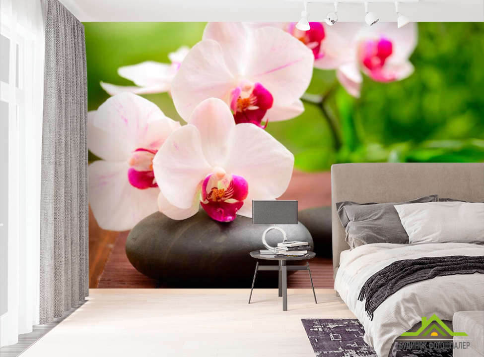 выбрать Фотообои Орхидеи бело-малиновые Фотообои Орхидеи на стену