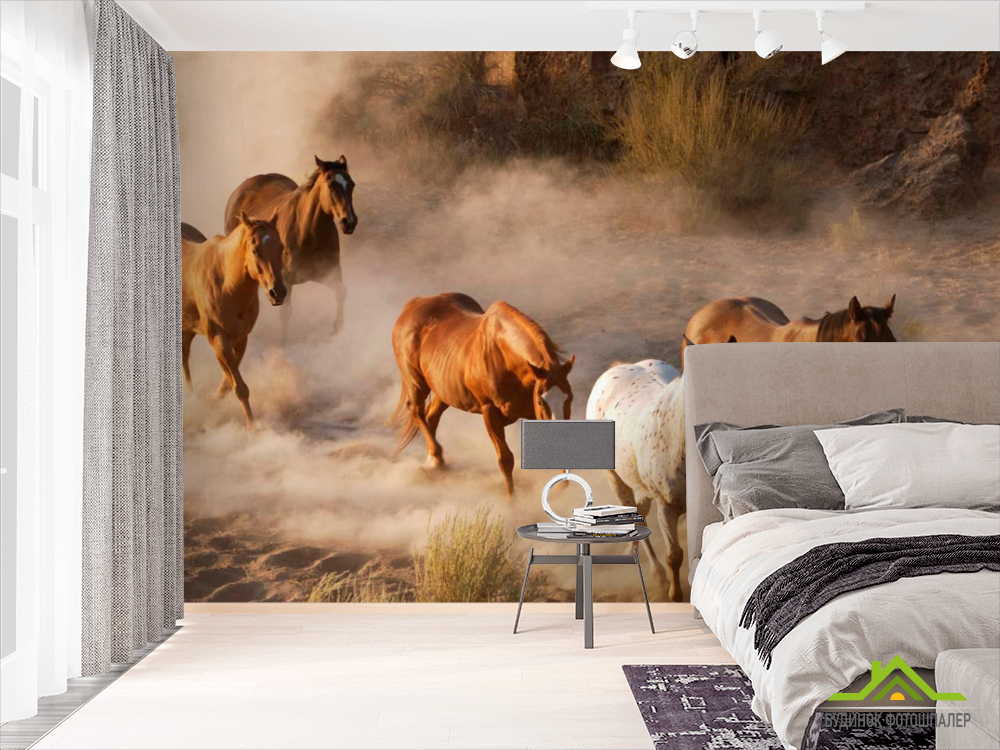 Фотошпалери Табун коней