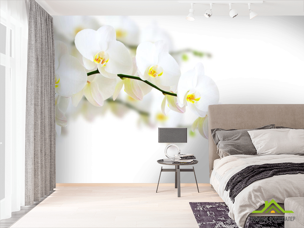 Фотообои веточка белой орхидеи