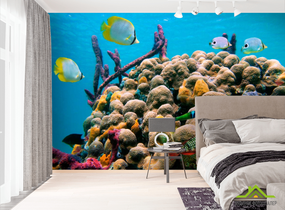 выбрать Фотошпалери Кораловий риф Фотошпалери Риби і море на стіну